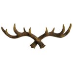 Pat�re murale crochet porte - manteau en bois de cerf 49 cm d�coration int�rieure.