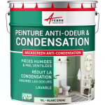 Peinture anti condensation, anti odeur, moisissure - 10 l blanc cr�me - arcane industries
