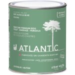 Peinture bois ext�rieurs - ral 6021 vert sauge ile de r� - 750ml - atlantic