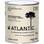Peinture bois ext�rieurs - ral 9001 blanc �cume pointe du raz - 750ml - atlantic