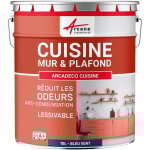 Peinture cuisine, lessivable, absorbe les odeurs - 10 l bleu vert - ral 5001 - arcane industries Peinture cuisine, lessivable, absorbe les odeurs - 10 l bleu vert - ral 5001 - arcane industries