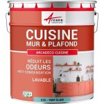 Arcane industries - peinture cuisine, lessivable, absorbe les odeurs - 2. 5 l vert clair - ral 6027