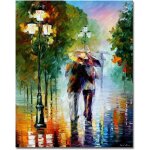 Peinture par num�ro sans cadre 16�20 pouces, kit acrylique + brosses, adultes / enfants