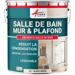 Peinture salle de bain, mur et plafond, condensation - 10 l blanc cr�me - arcane industries