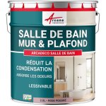 Peinture salle de bain, mur et plafond, condensation - 2. 5 l rose poudr� - ral 010 70 15 - arcane industries ...