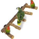 Perchoir en bois naturel pour perroquet, perchoir  oiseaux tag, jouets pour cage  oiseaux de petite ...