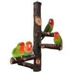 Perchoir en bois naturel pour perroquets, petites perruches, calopsittes, aras, perroquets, oiseaux d'amour, ...