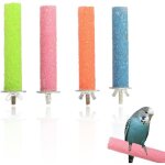 Perchoirs en pierres min�rales - lot de 4 - pour l'entretien des griffes et des becs - perroquet perroquet, ...