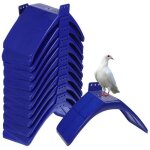 [jamais utilis�] perchoir � pigeons, surface en bois, perchoirs en plastique, grille, perchoirs � pigeons, ...