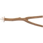 Perchoir en y - naturel pour perroquets - taille s - 20cmx2cm