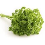 Persil fris� afrodite