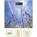 Pese - personne little balance usb - c - lavandes