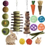 Petits jouets d'animaux, 16 jouets de mastication, lapin nain, hamster en bois naturel mastication jouets, ...