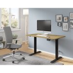 Petits - meubles - bureau électrique bimotion 1s 120x65x2, 5 cm réglage de la hauteur 73 - 120 cm noir ... Petits - meubles - bureau électrique bimotion 1s 120x65x2, 5 cm réglage de la hauteur 73 - 120 cm noir ...