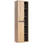 Petits - meubles - colonne murale 2 portes rigel bois et anthracite