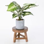 Petit tabouret en bois pour plantes, pot de fleurs rond en bois, pr�sentoir pour plantes, pr�sentoir ...
