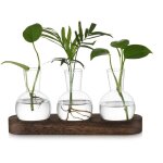 Petit vase fleur vase transparent: terrarium plante hydroponie vase en verre avec marron plateau en bois ...
