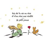 (comme photo montr�e)autocollant mural - le petit prince - citations - jaune - d�coration murale - enfant ...
