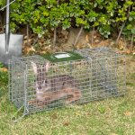 Pi�ge cage de capture pliante pour petits animaux type rat et souris - 2 portes poign�e 66 x 24 x 30, ...