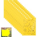 Piges collants double face, 20pcs attrape - mouches et insectes, efficaces et faciles  utiliser, jaunes ...