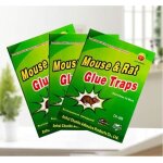 Piege a souris colle collant 5 pi�ces pi�ges � souris attrape anti souris rat glue plaque collante pi�ge ...