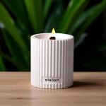Pier import - bougie parfum�e blanche ? vanille et rose, m�che cr�pitante
