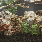 Pierres du dragon 10 kg m�lange de couleurs 10 - 30 cm