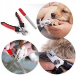 Pince  ongles pour animal chien chat 2en1 pince ciseaux + lime