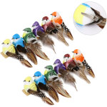 Pince � plumes d'oiseau 12 pi�ces, ornements d'oiseaux de simulation vives pour la d�coration d'arbre ...