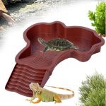 Piscine tortue terrestre mangeoire, bol d'eau pour reptiles avec �chelle, bassin d'eau pour tortues avec ...