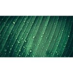 Planche  dcouper en verre 52 x 30 cm