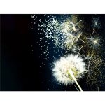 Planche � d�couper en verre tremp� 30 x 22 cm motif fleurs