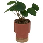 Plante artificielle le collectionneur en cramique & bambou h26cm orange - atmosphera crateur d'intrieur ...