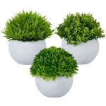 Plante artificielle d�corative, en lot de 3 aux d�tails r�alistes, pots, herbe, buis, succulente, vert ...