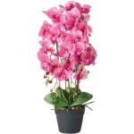 Plante artificielle en pot orchide plante d'intrieur dcoration en plastique 65 cm rose orchid