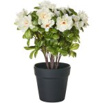 Plante artificielle en pot en plastique 36 cm accessoire d�coratif rhododendron avec fleurs blanche novella ...
