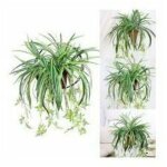 Plante de chlorophytum artificielle suspendue lierre artificiel r�aliste feuilles vertes tenture murale ...