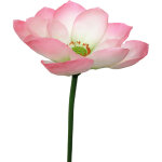 Plante de fleur artificielle d�coration de plante verte de mariage � la maison pour les d�corations de ...