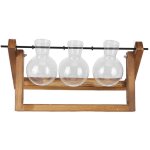 Plante terrarium avec support en bois vase en verre planteur en verre de bureau pour la d�coration de ...