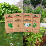 Plantes � tisanes - 4 sachets de graines bio � semer