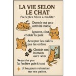 Plaque m�tal la vie selon le chat ? 30, 5 x 20 cm