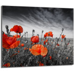 Plaque de protection en verre pour le po�le 60x52 maki