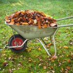 Pneu de brouette pneumatique 480400 8 absorbant les chocs