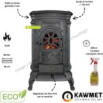 Pole  bois en fonte 8 kw p9 eco kawmet