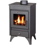 V05 - po�le � bois ray ? 9 kw, design moderne et efficace