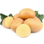 Pomme de terre 'bintje' sac de 25 plants calibre 28 / 35 mm