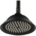 Beijiyi - pommeau de douche rtro, pomme de douche  pluie ronde antique de 9 pouces, douche trompette ...