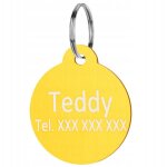 Porte - cls pendentif grav pour chien et chat avec tiquette d'adresse en or