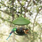 Porte - graines � suspendre pour oiseaux sauvages - plateau - m�langes - c?ur de tournesol - cacahu�tes ...