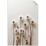 Poster autocollant pissenlits plantes nature boho 30x45